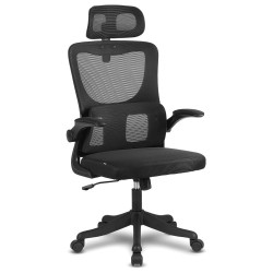 Cadeira de Escritório Ergonómica Offy Lyma Preta